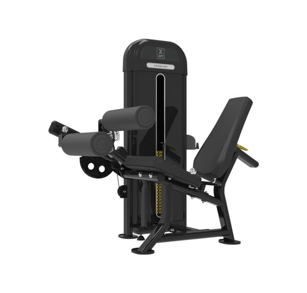 Seated Leg Curl – XPT Trainer